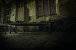 Shady Acres Asylum