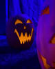 Halloween Heritage