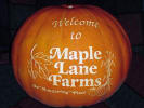 Hayride