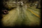 Haunted Trail