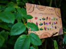 Nature Card