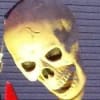 Skeletons on Schiedler