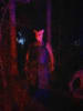 Haunted Trail