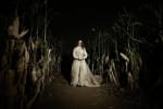 Alicia en Horrorland (Alice in Horrorland)