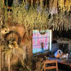 A Night at the Witches Cottage