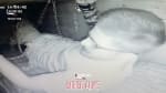 Buried Alive