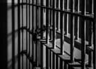 Prisoner's Payback