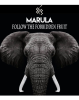 Marula, Follow the Forbidden Fruit!