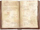 Investigate The Missing Files Of Dr. T Mandrakeseeker