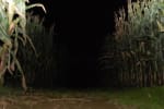 Haunted Maze