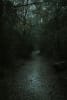 The 13th Hour Haunted Trail