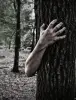 The Walking Evil [Outdoor]