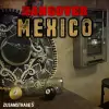 Hangover In Mexico
