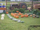 Hayride
