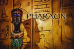Pharaon