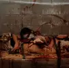 Blood Shed