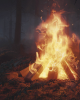 Camp Killamore