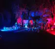 Wonderland in Kaos