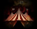 Haunted Carnival