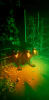 Haunted Halloween Night Tours