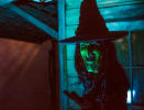 Trick or Treat
