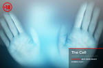 The Cell