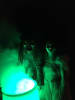 Haunted Hollow