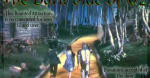 Dark Side Of Oz