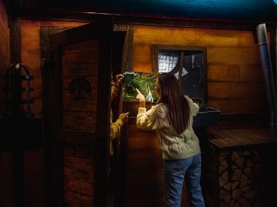 The Mystery Of The Book Of The Forest