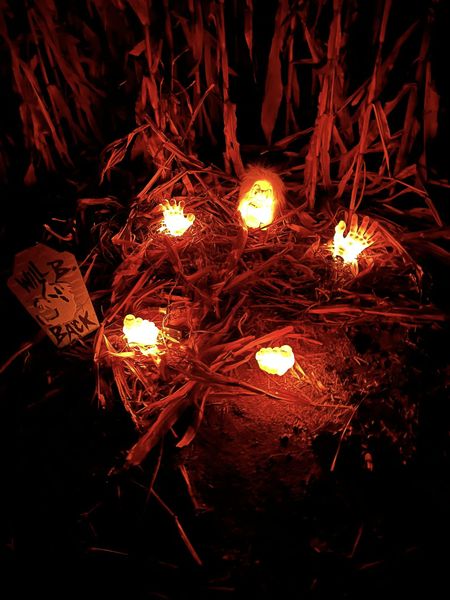 Haunted Corn Maze