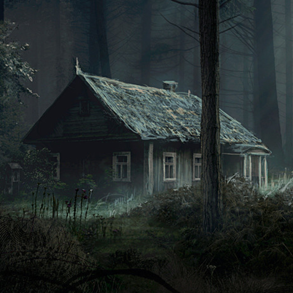 Elhagyatott Kunyhó -[Abandoned Hut]