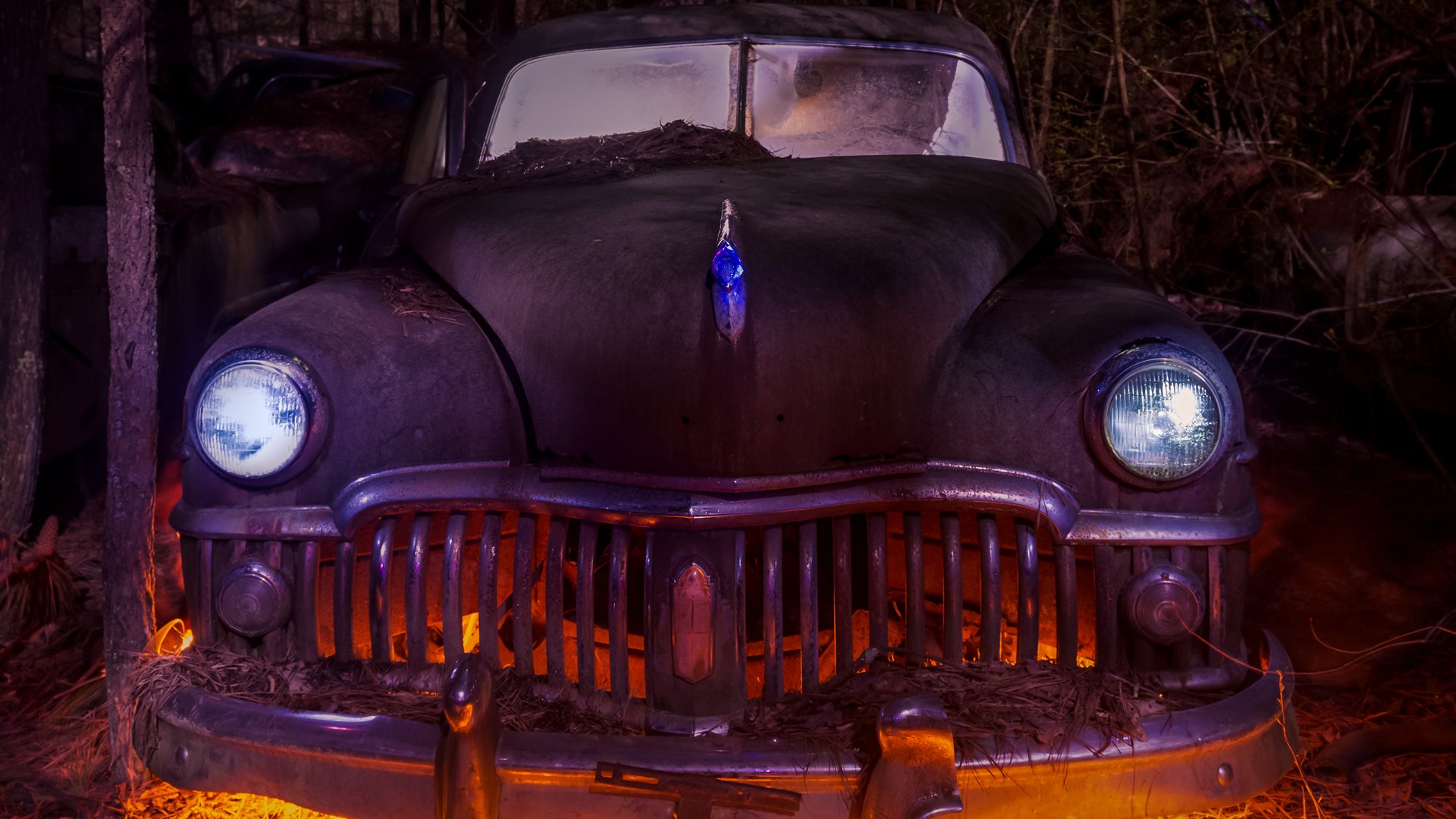 Haunted Trails