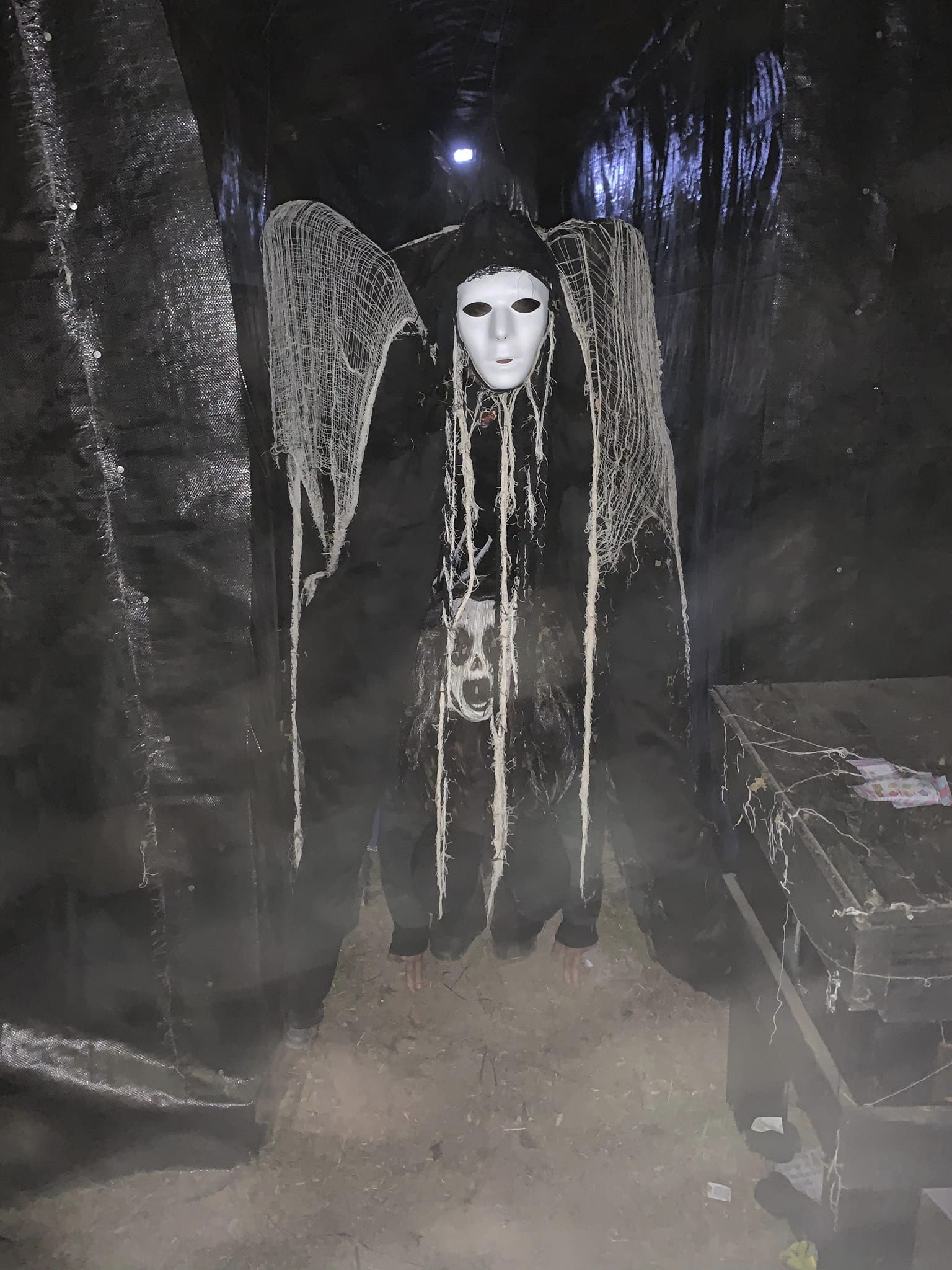 Horror in the Holler