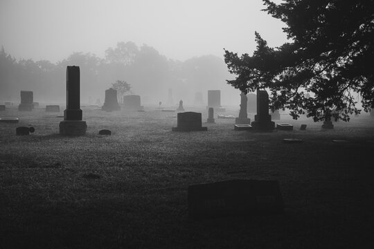 New Life Cemetery [2023]