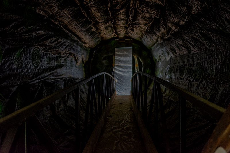 The Black Hole
