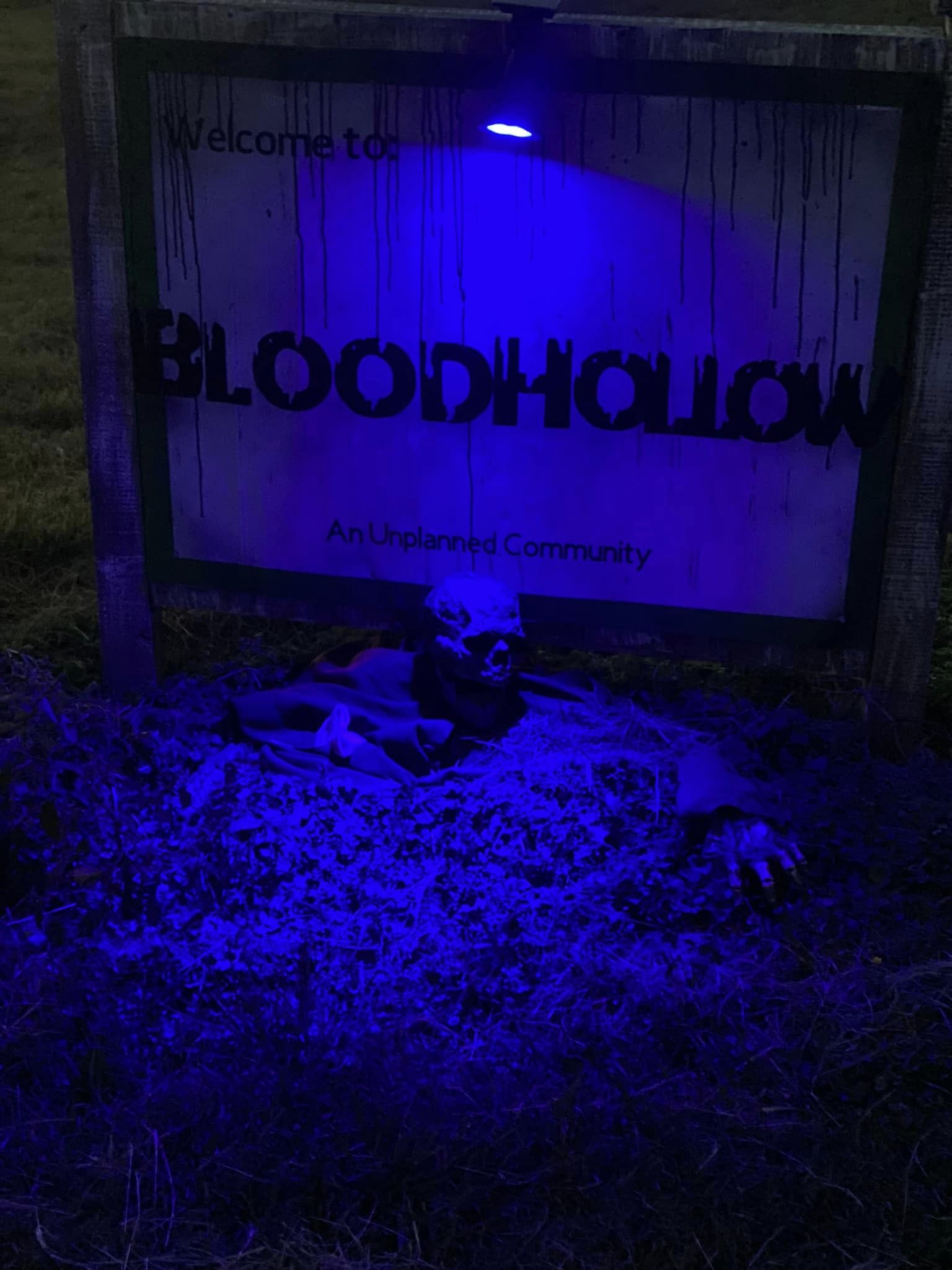 Blood Hollow