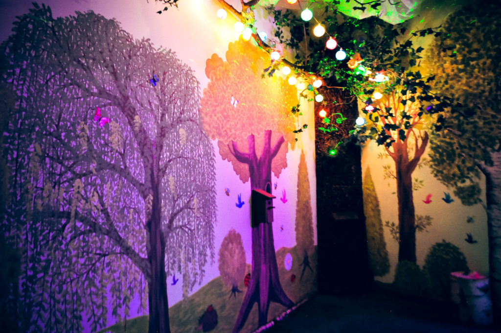 Magiczny Las [Magic Forest]