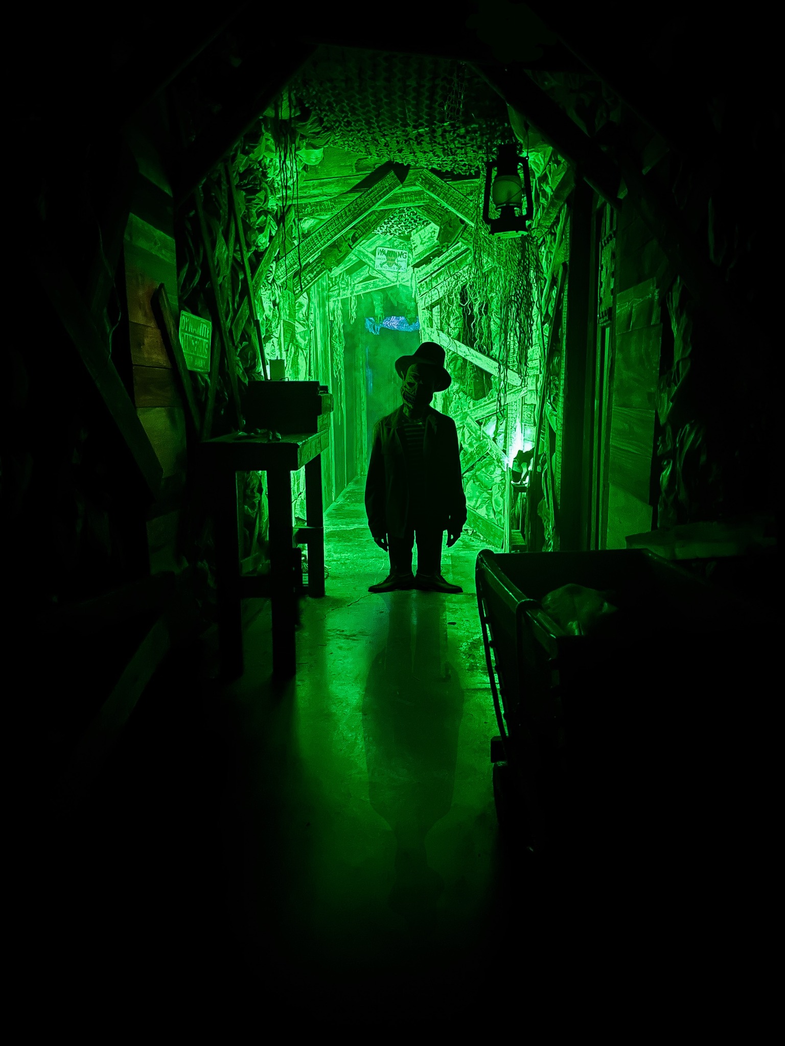Leprechaun's Curse