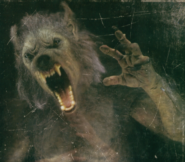 Trails Of Terror