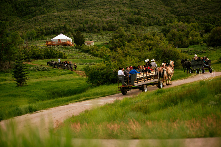 Horse-Drawn Wagon Rides