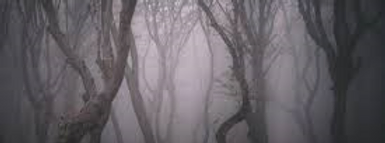 Trail Of Terror