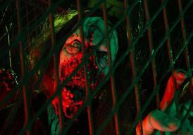 Boogerwoods Haunted Attraction