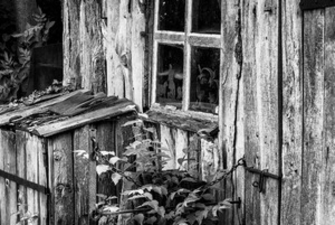 The Garden Shed