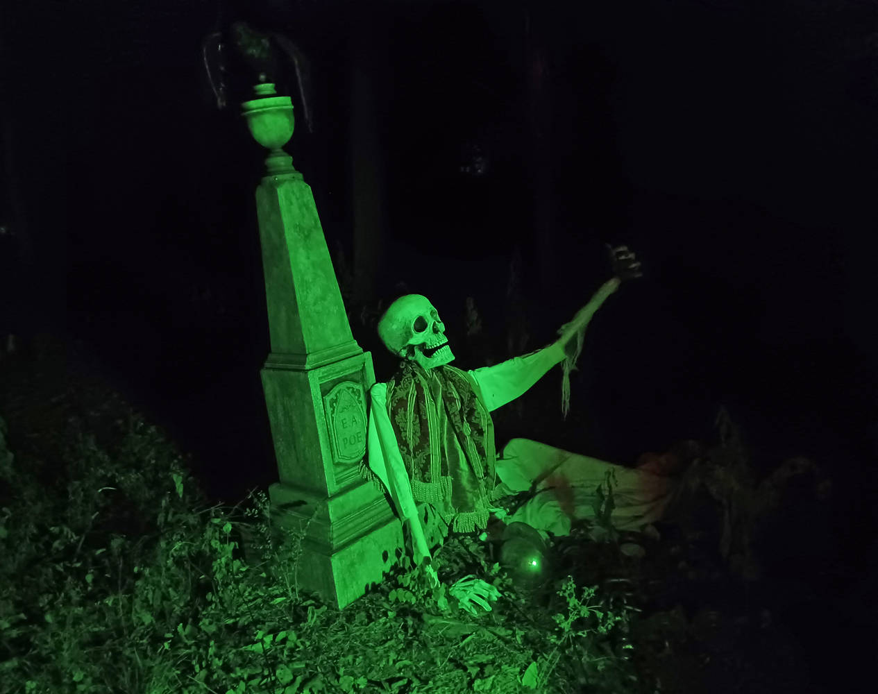 Raven's Hollow Haunted Forest