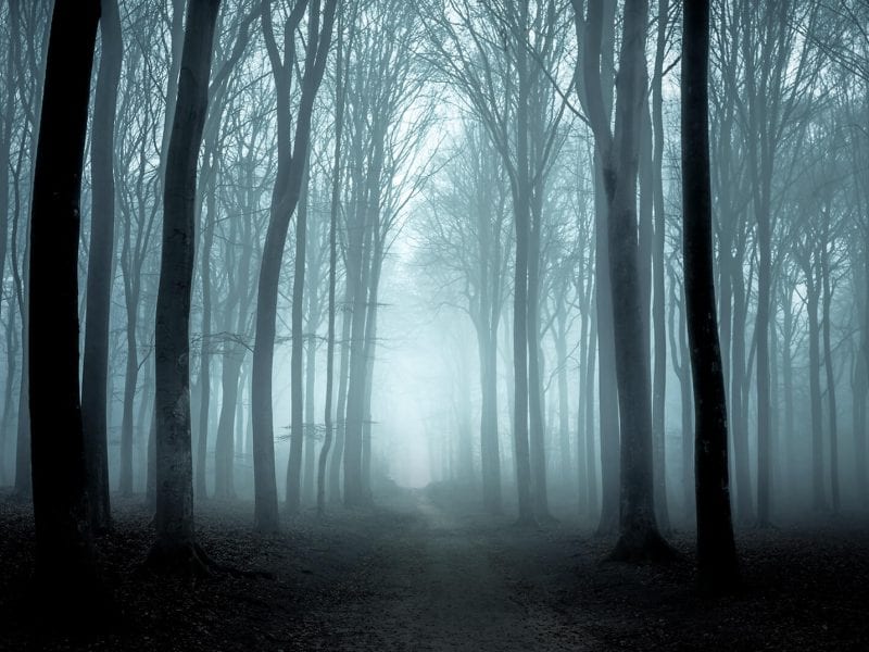 Middletown Haunted Trail