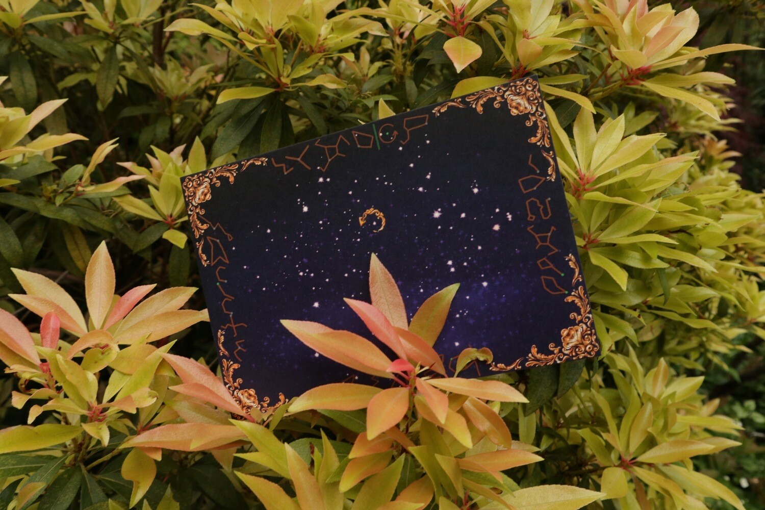 Stars Card