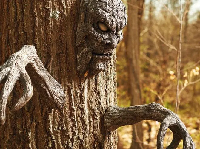 Haunted Woods