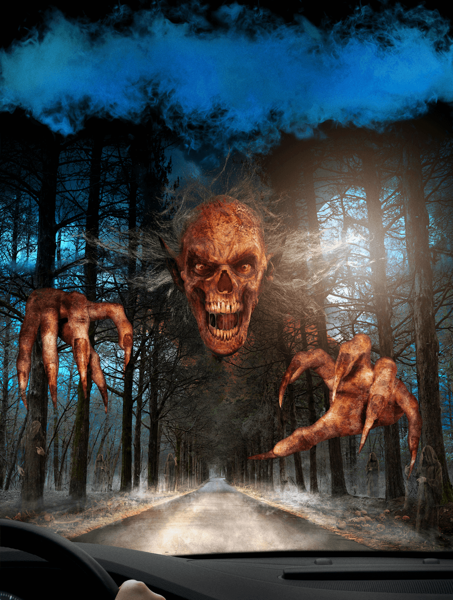 The Nightmare Forest