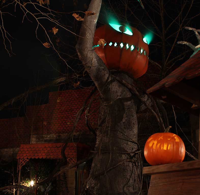 Hacker House