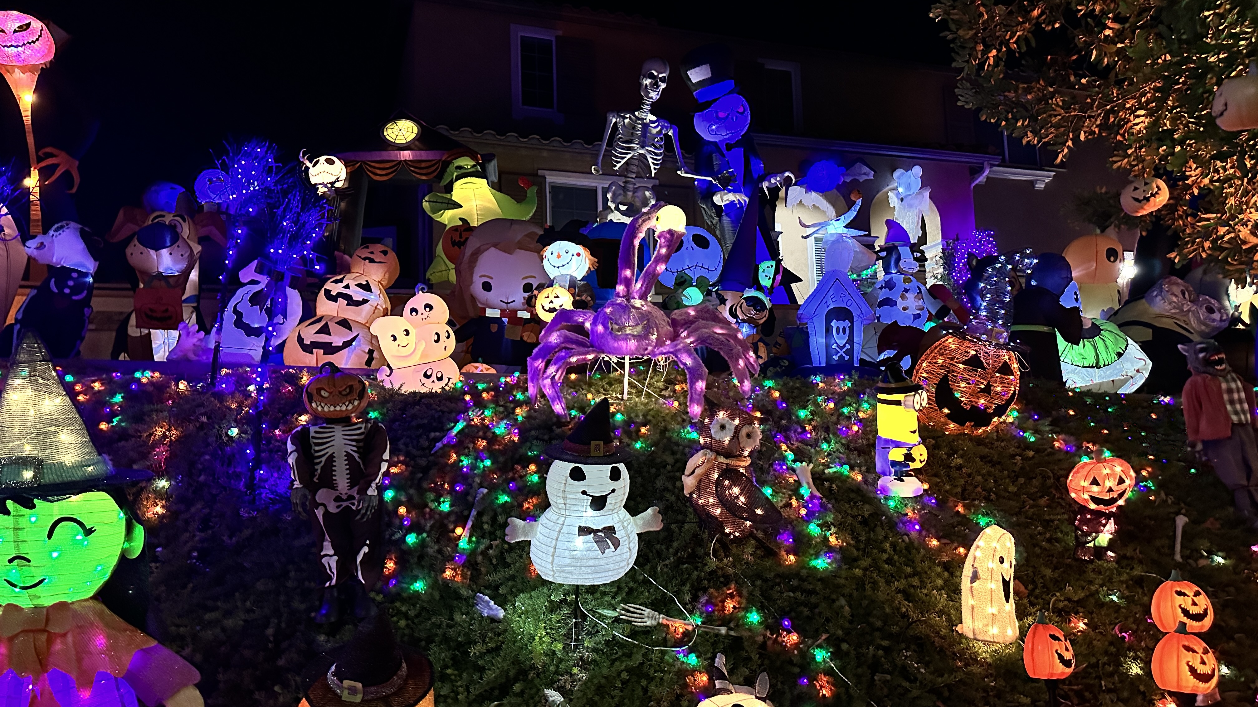 Inflatable Yard Display
